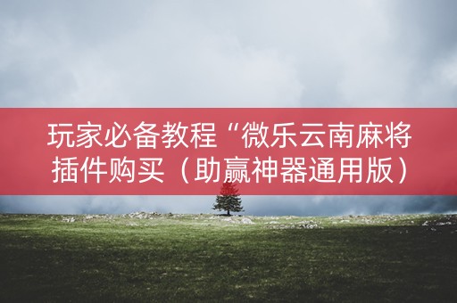 玩家必备教程“微乐云南麻将插件购买（助赢神器通用版）
