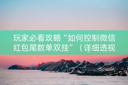 玩家必看攻略“如何控制微信红包尾数单双挂”（详细透视教程）-哔哩哔哩