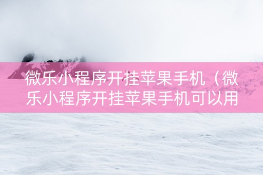 微乐小程序开挂苹果手机（微乐小程序开挂苹果手机可以用吗）