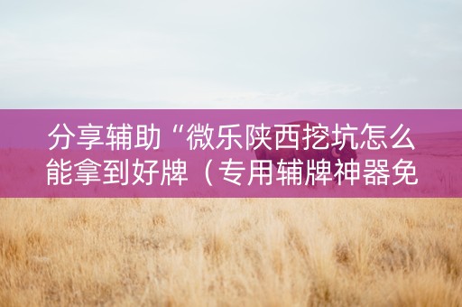 分享辅助“微乐陕西挖坑怎么能拿到好牌（专用辅牌神器免安装）