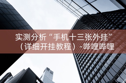 实测分析“手机十三张外挂”（详细开挂教程）-哔哩哔哩