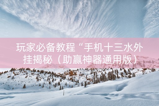 玩家必备教程“手机十三水外挂揭秘（助赢神器通用版）