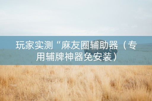 玩家实测“麻友圈辅助器（专用辅牌神器免安装）