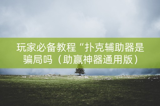 玩家必备教程“扑克辅助器是骗局吗（助赢神器通用版）