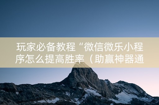 玩家必备教程“微信微乐小程序怎么提高胜率（助赢神器通用版）
