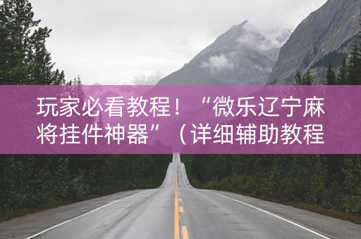 玩家必看教程！“微乐辽宁麻将挂件神器”（详细辅助教程）-哔哩哔哩