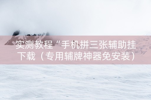 实测教程“手机拼三张辅助挂下载（专用辅牌神器免安装）