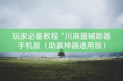 玩家必备教程“川麻圈辅助器手机版（助赢神器通用版）