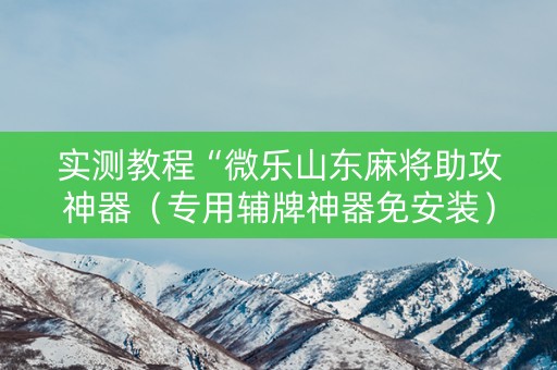 实测教程“微乐山东麻将助攻神器（专用辅牌神器免安装）