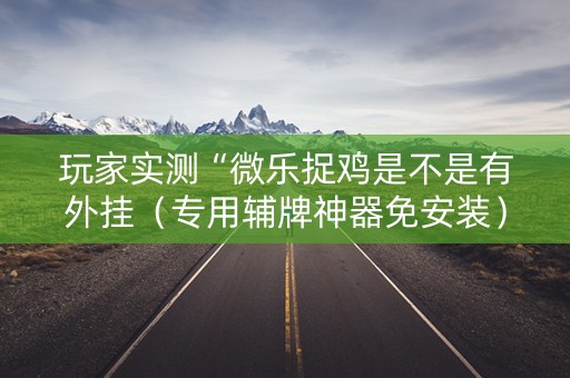玩家实测“微乐捉鸡是不是有外挂（专用辅牌神器免安装）