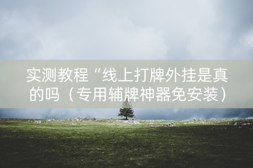 实测教程“线上打牌外挂是真的吗（专用辅牌神器免安装）