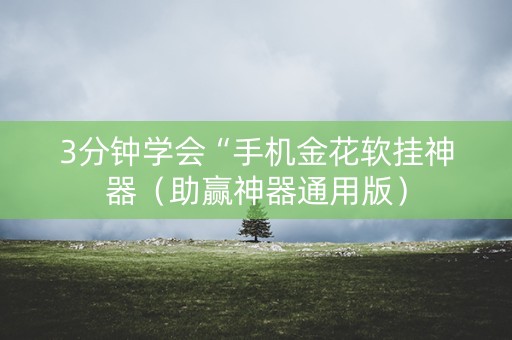 3分钟学会“手机金花软挂神器（助赢神器通用版）