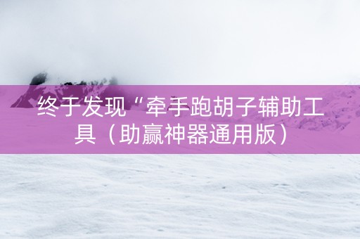 终于发现“牵手跑胡子辅助工具（助赢神器通用版）