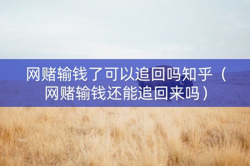 网赌输钱了可以追回吗知乎（网赌输钱还能追回来吗）