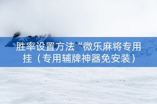 胜率设置方法“微乐麻将专用挂（专用辅牌神器免安装）