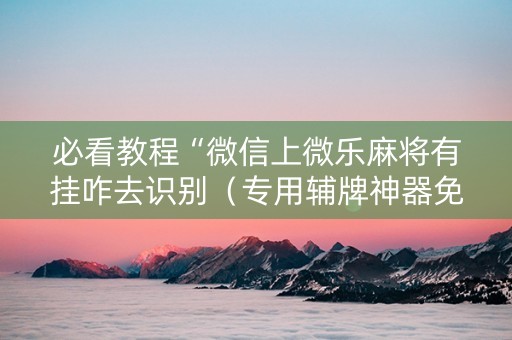 必看教程“微信上微乐麻将有挂咋去识别（专用辅牌神器免安装）