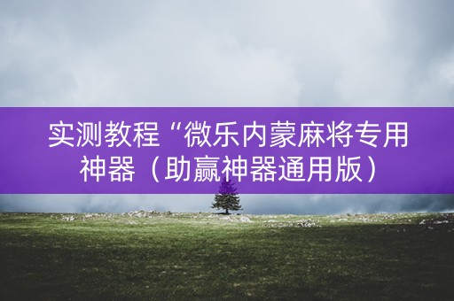 实测教程“微乐内蒙麻将专用神器（助赢神器通用版）