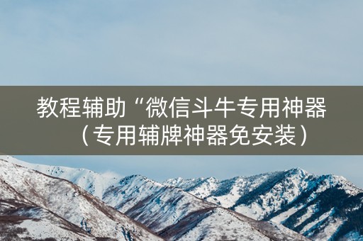 教程辅助“微信斗牛专用神器（专用辅牌神器免安装）