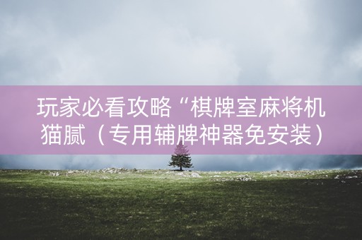 玩家必看攻略“棋牌室麻将机猫腻（专用辅牌神器免安装）