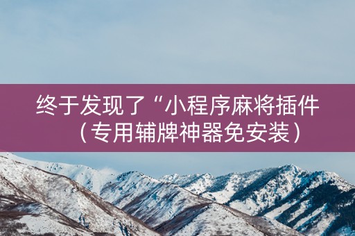 终于发现了“小程序麻将插件（专用辅牌神器免安装）