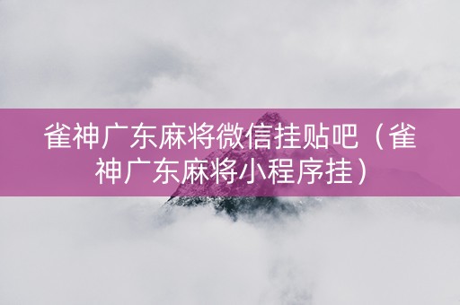 雀神广东麻将微信挂贴吧（雀神广东麻将小程序挂）