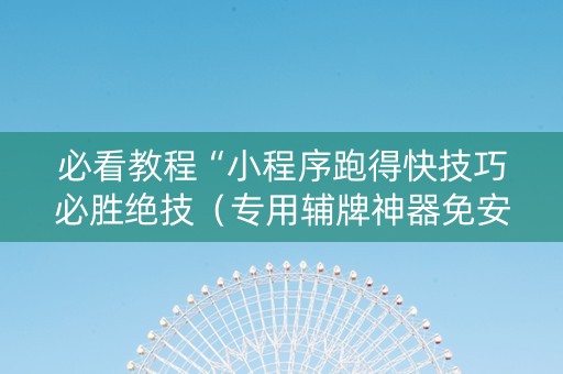 必看教程“小程序跑得快技巧必胜绝技（专用辅牌神器免安装）