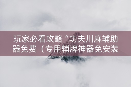 玩家必看攻略“功夫川麻辅助器免费（专用辅牌神器免安装）