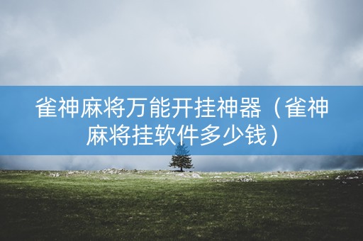 雀神麻将万能开挂神器（雀神麻将挂软件多少钱）