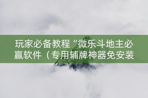 玩家必备教程“微乐斗地主必赢软件（专用辅牌神器免安装）