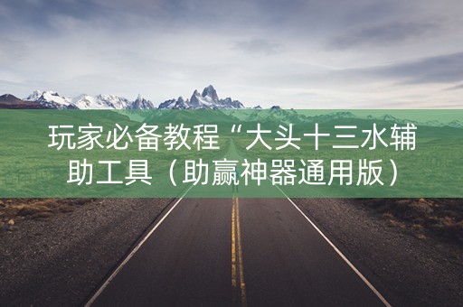 玩家必备教程“大头十三水辅助工具（助赢神器通用版）