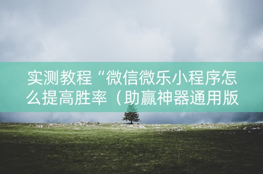 实测教程“微信微乐小程序怎么提高胜率（助赢神器通用版）
