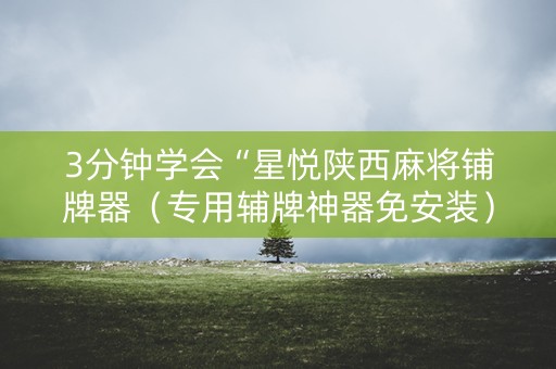 3分钟学会“星悦陕西麻将铺牌器（专用辅牌神器免安装）