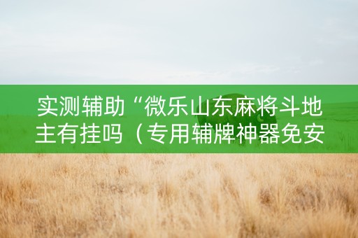 实测辅助“微乐山东麻将斗地主有挂吗（专用辅牌神器免安装）