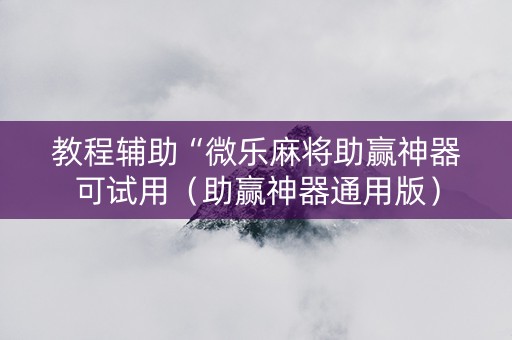 教程辅助“微乐麻将助赢神器可试用（助赢神器通用版）
