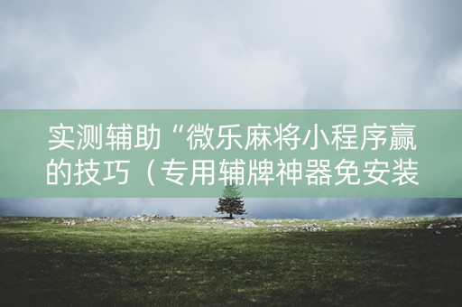 实测辅助“微乐麻将小程序赢的技巧（专用辅牌神器免安装）
