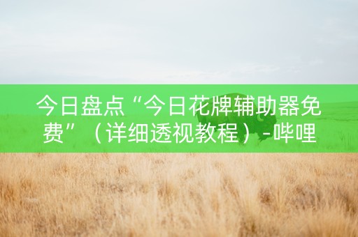 今日盘点“今日花牌辅助器免费”（详细透视教程）-哔哩哔哩