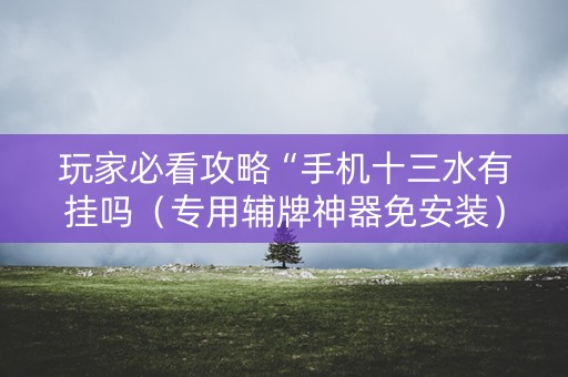 玩家必看攻略“手机十三水有挂吗（专用辅牌神器免安装）