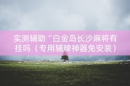 实测辅助“白金岛长沙麻将有挂吗（专用辅牌神器免安装）
