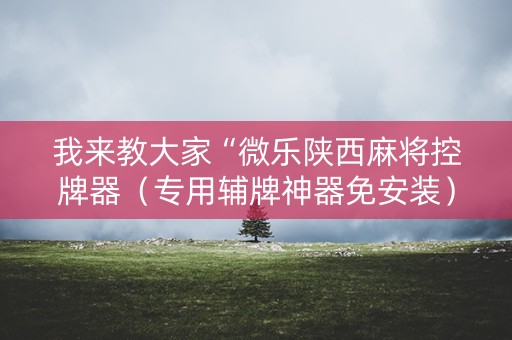 我来教大家“微乐陕西麻将控牌器（专用辅牌神器免安装）