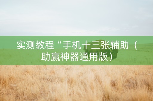 实测教程“手机十三张辅助（助赢神器通用版）