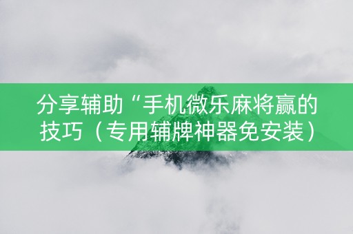 分享辅助“手机微乐麻将赢的技巧（专用辅牌神器免安装）