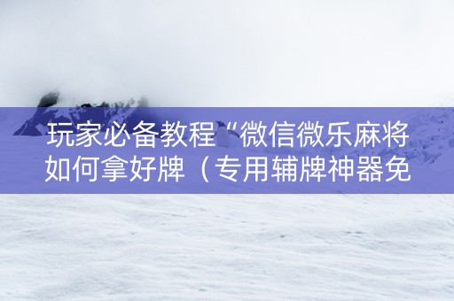 玩家必备教程“微信微乐麻将如何拿好牌（专用辅牌神器免安装）