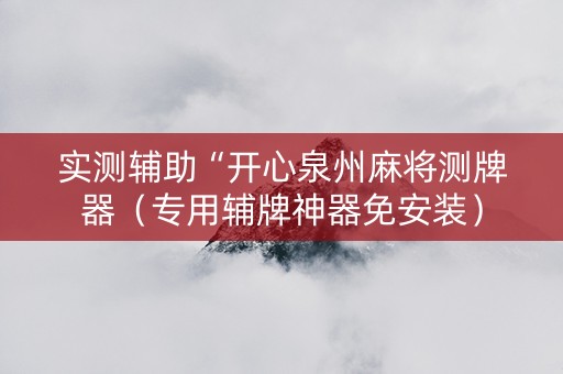 实测辅助“开心泉州麻将测牌器（专用辅牌神器免安装）