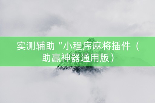实测辅助“小程序麻将插件（助赢神器通用版）