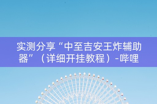 实测分享“中至吉安王炸辅助器”（详细开挂教程）-哔哩哔哩