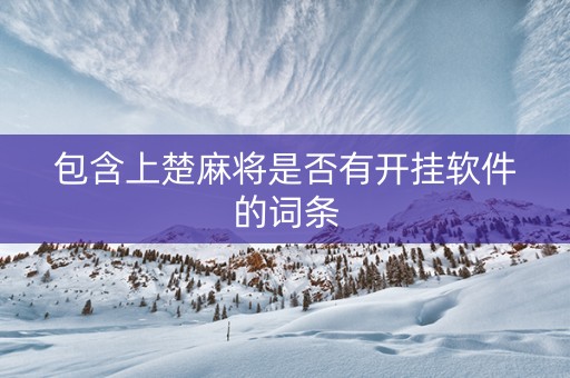 包含上楚麻将是否有开挂软件的词条