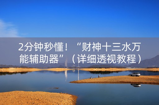 2分钟秒懂！“财神十三水万能辅助器”（详细透视教程）-哔哩哔哩