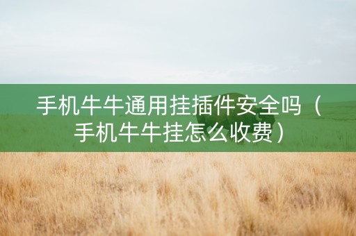 手机牛牛通用挂插件安全吗（手机牛牛挂怎么收费）