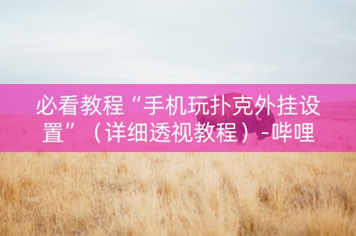 必看教程“手机玩扑克外挂设置”（详细透视教程）-哔哩哔哩