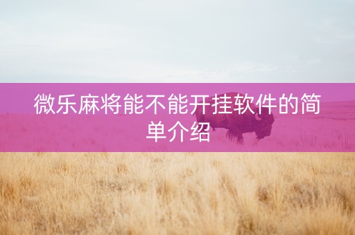 微乐麻将能不能开挂软件的简单介绍